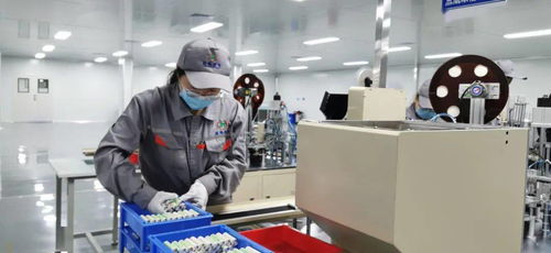 每天15萬 金鯉魚 出 金 入 海 金拓鋰電新能源公司鋰電子正極材料及電池生產項目有序推進